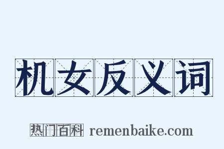 机女反义词是什么意思的图片